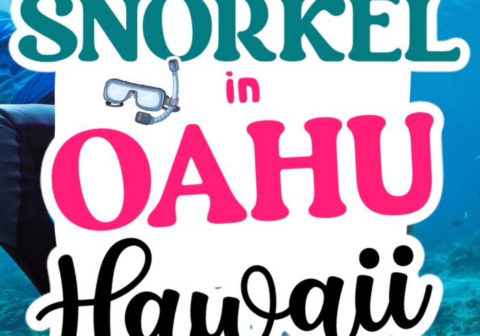 where to snorkel in hawaii