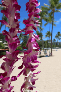 best months to visit hawaii