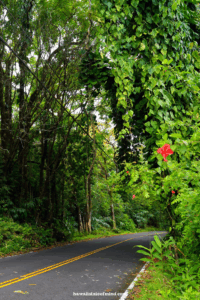 things to do in maui