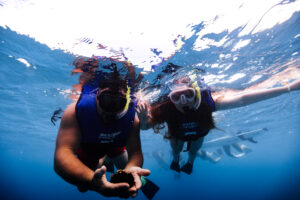 things to do in maui