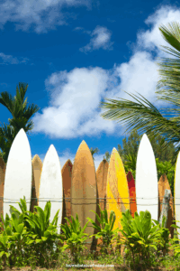 surfing in hawaii