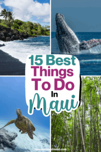 things to do in maui