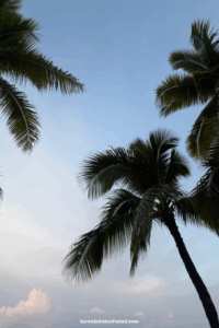what is the cheapest time to travel to hawaii