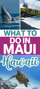 what to do in maui