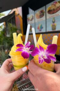 dole whip dole plantation